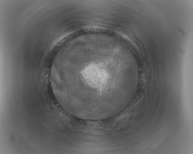X0000113280870200910131003