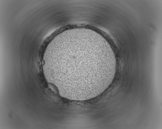 X0000113280871200910131003