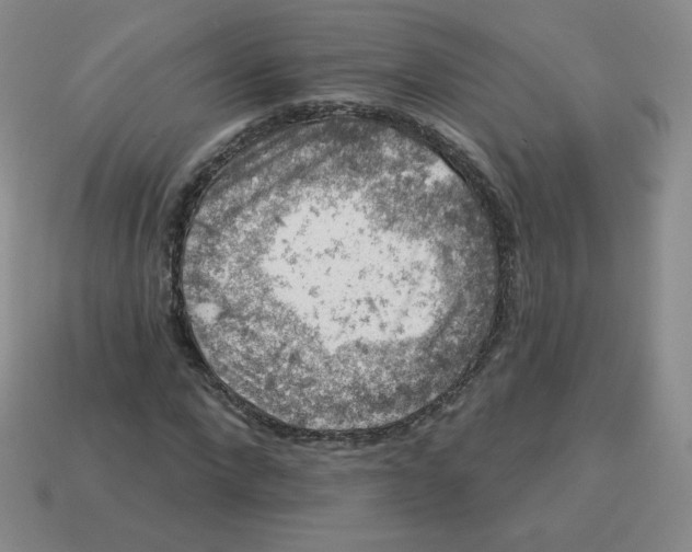 X0000113280872200910131003
