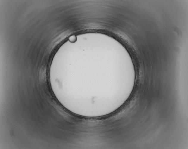 X0000113280873200910131003