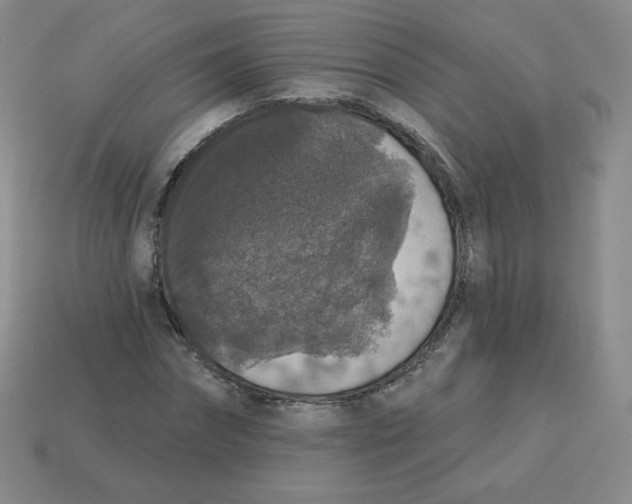 X0000113280874200910131003