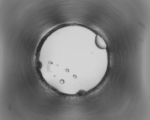 X0000113280876200910131003