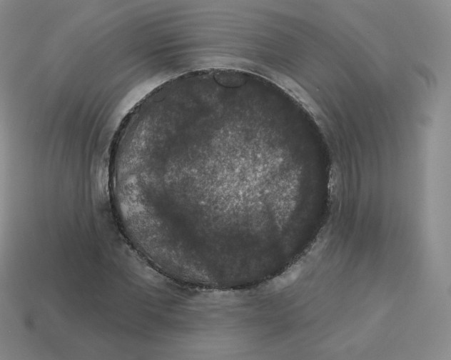 X0000113280877200910131003