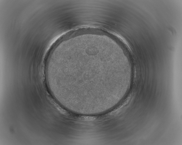 X0000113280878200910131003