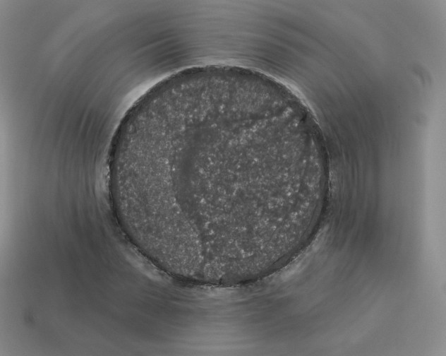 X0000113280879200910131003