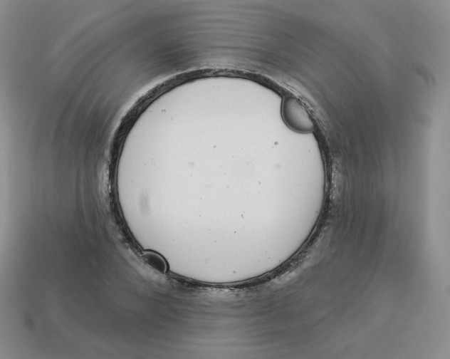 X0000113280880200910131003