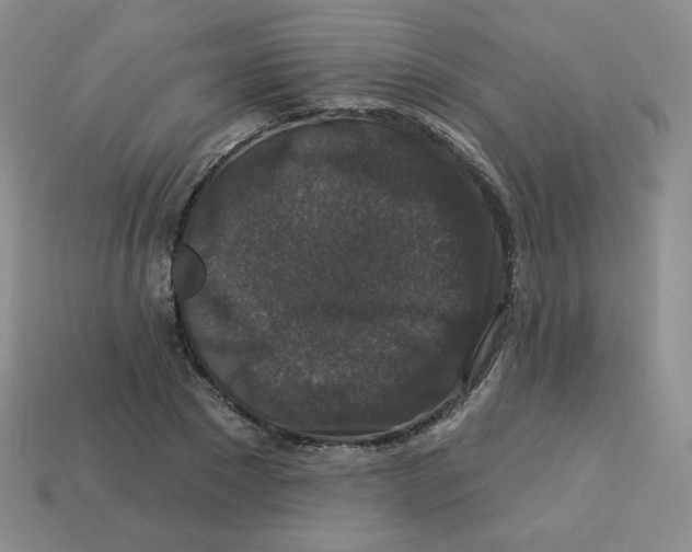 X0000113280881200910131003