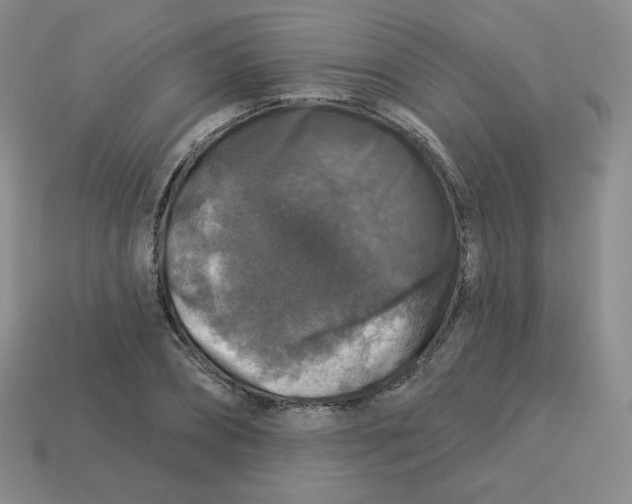 X0000113280882200910131003