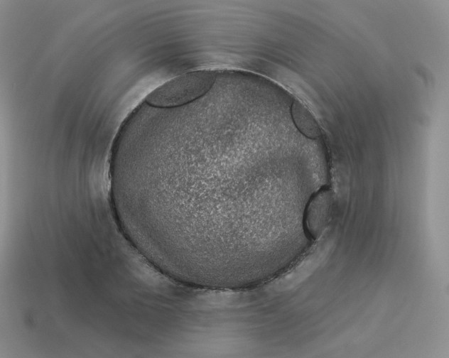 X0000113280885200910131003