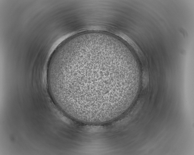 X0000113280886200910131003