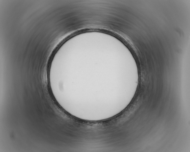 X0000113280887200910131003