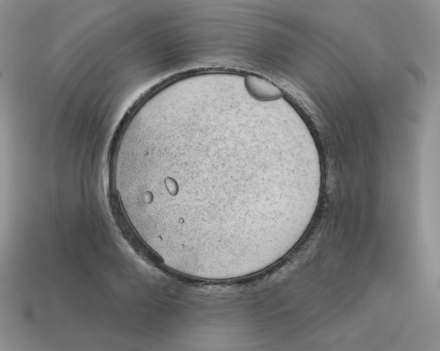 X0000113280888200910131003