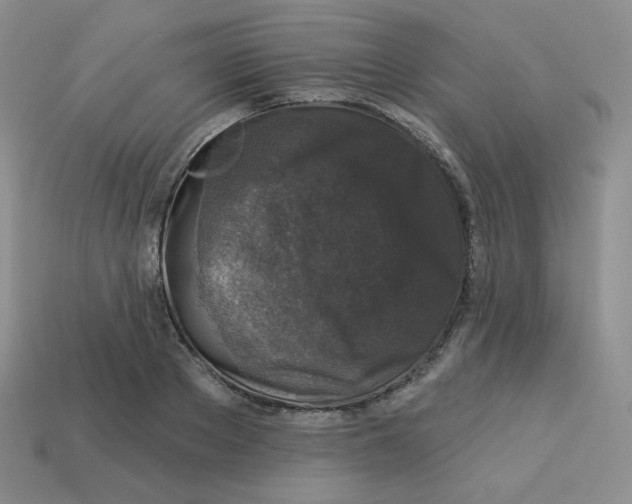 X0000113280889200910131003