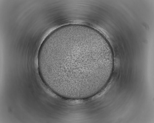 X0000113280891200910131002