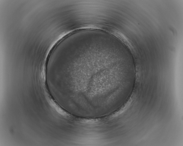 X0000113280892200910131002