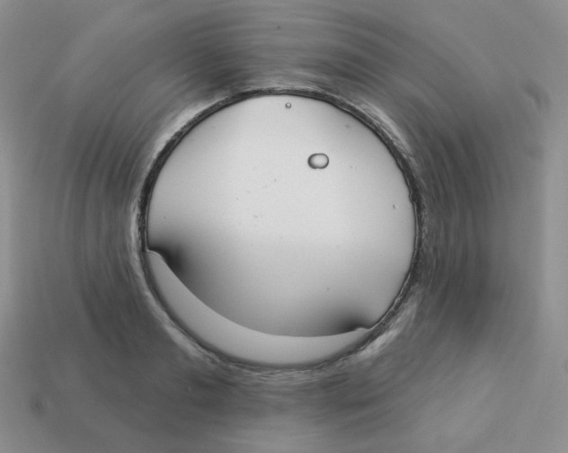 X0000113280893200910131002