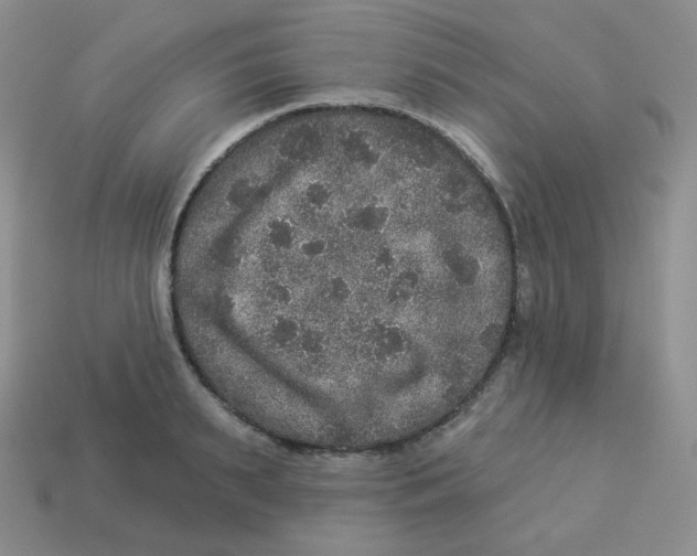 X0000113280895200910131002