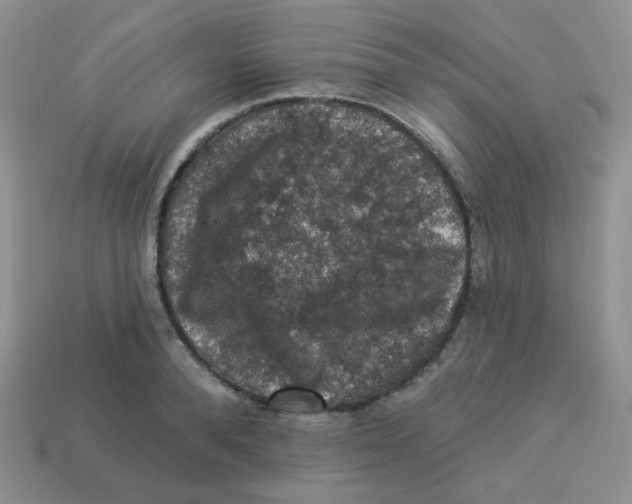 X0000113280896200910131002