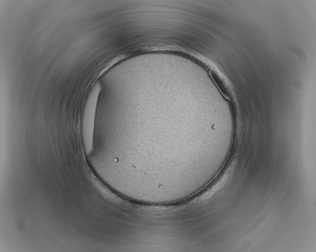 X0000113280897200910131002