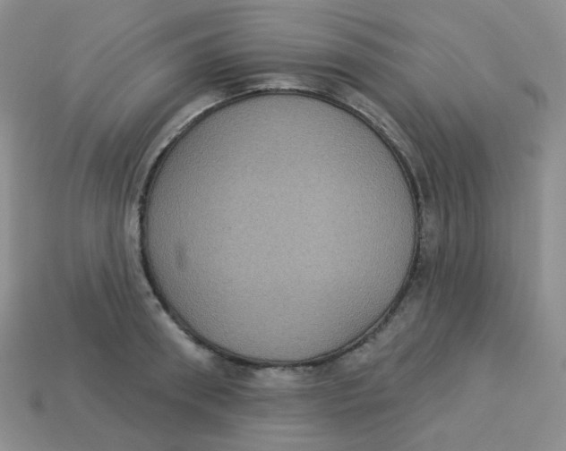 X0000113280898200910131002