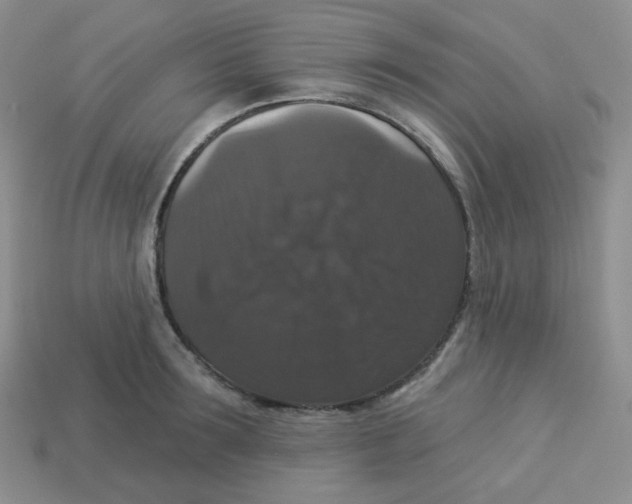 X0000113280899200910131002
