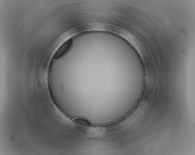 X0000113280901200910131002