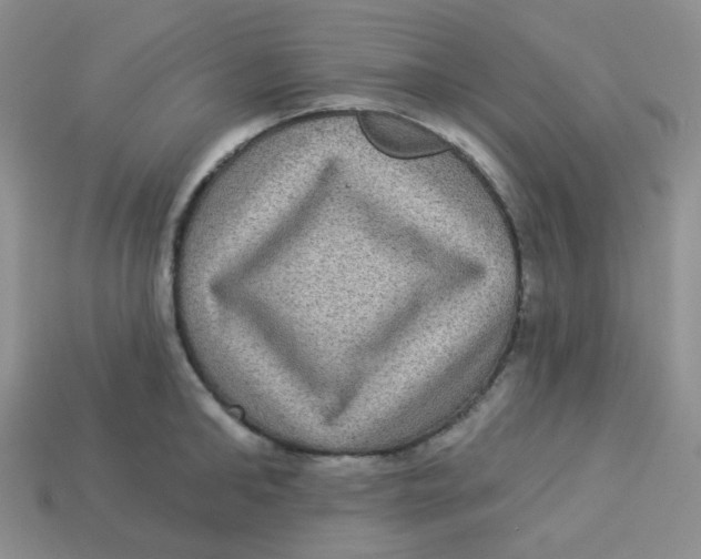 X0000113280902200910131002