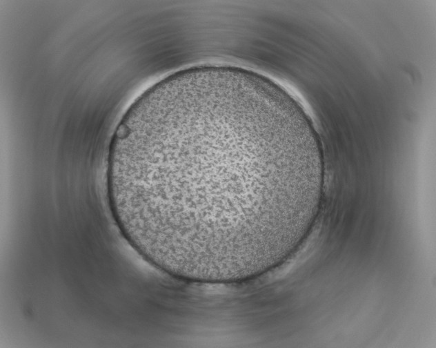 X0000113280903200910131002