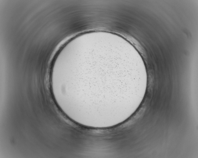 X0000113280904200910131002