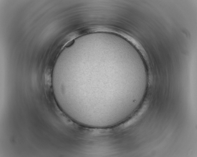 X0000113280905200910131002