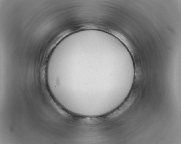 X0000113280906200910131002