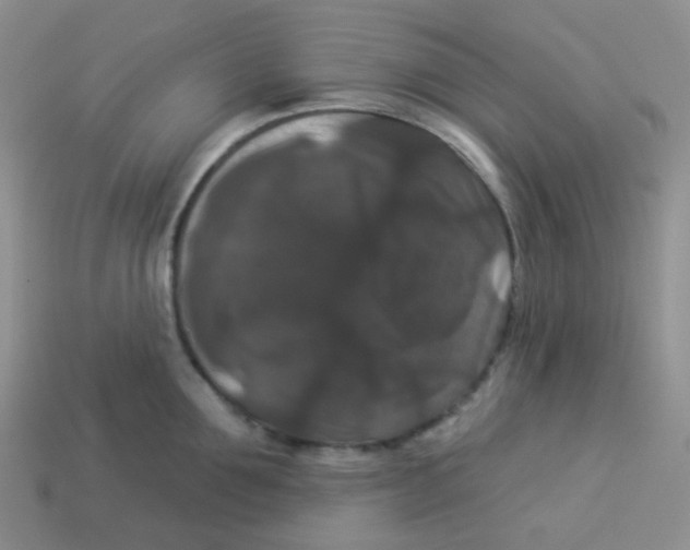 X0000113280907200910131002
