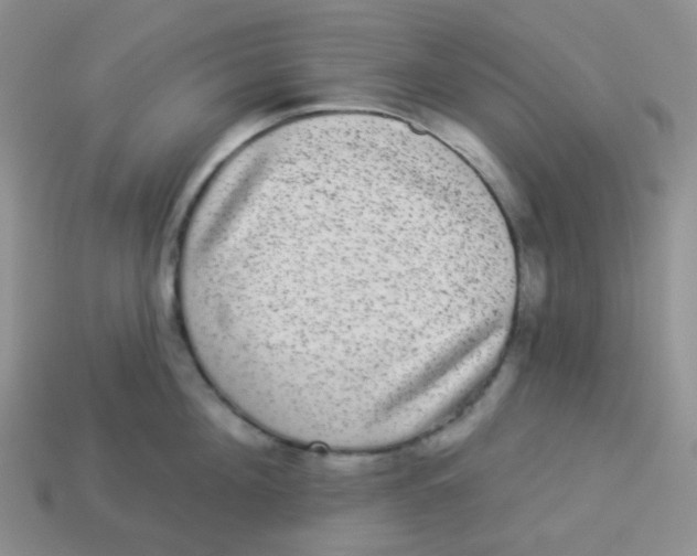 X0000113280908200910131002