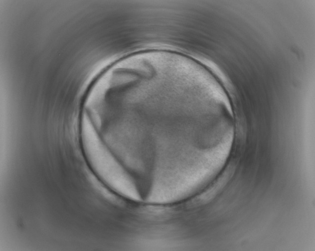 X0000113280910200910131002