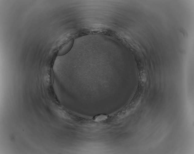 X0000113280916200910131002