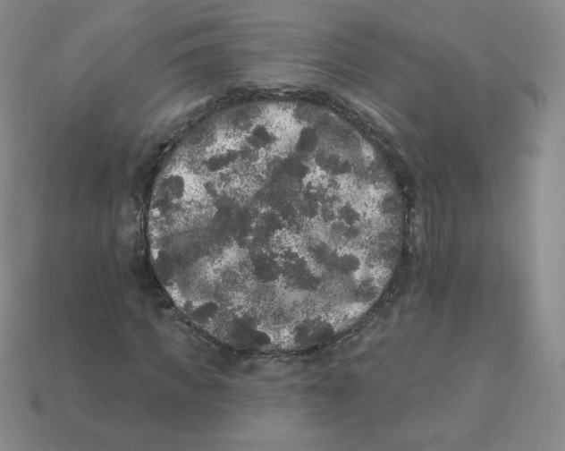 X0000113280917200910131002