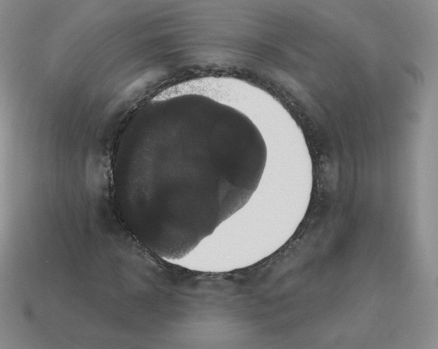 X0000113280918200910131002