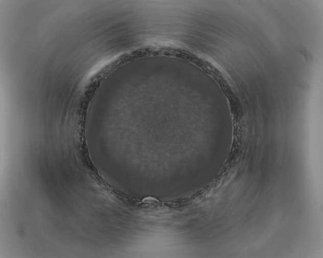 X0000113280919200910131002