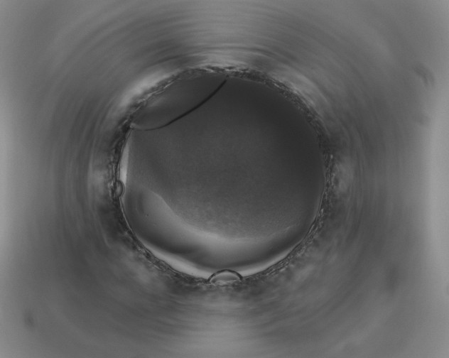 X0000113280920200910131002