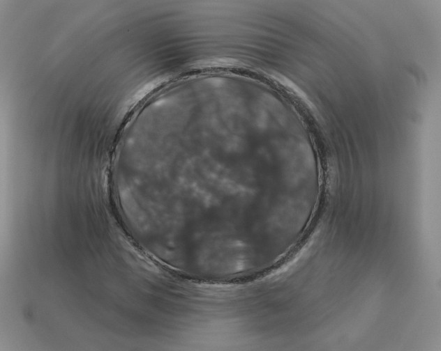 X0000113280921200910131002