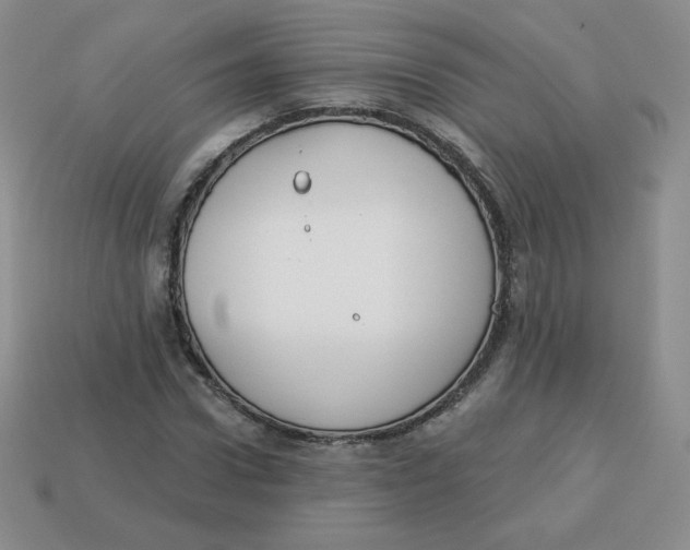 X0000113280922200910131002