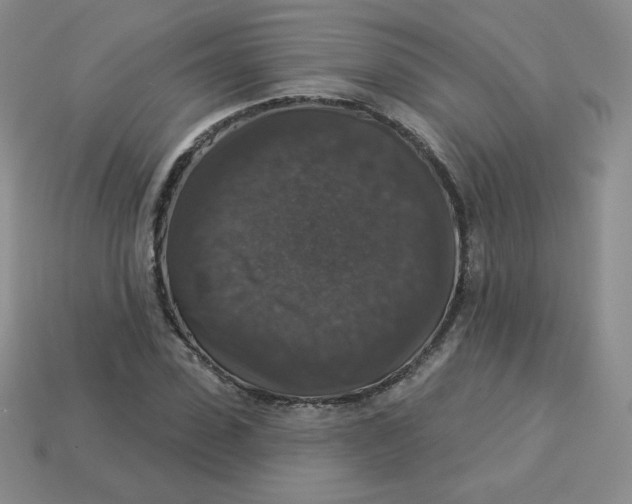 X0000113280923200910131002