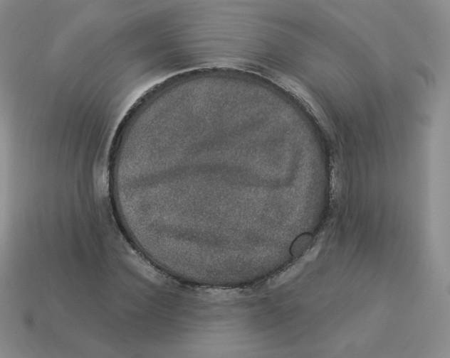 X0000113280924200910131002