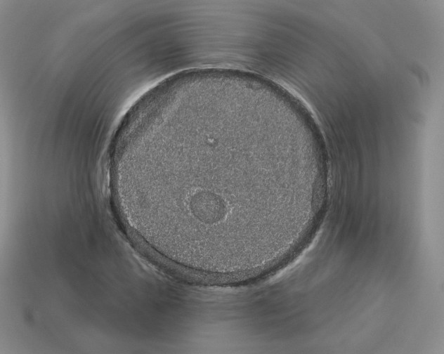 X0000113280925200910131002