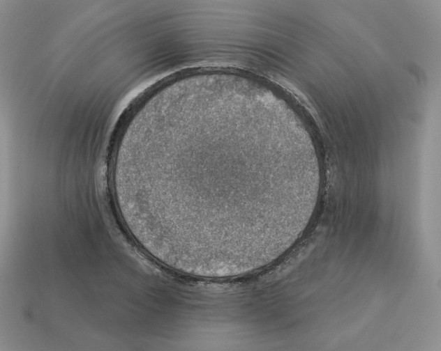 X0000113280928200910131002
