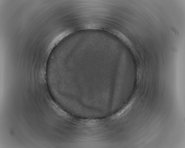 X0000113280930200910131002