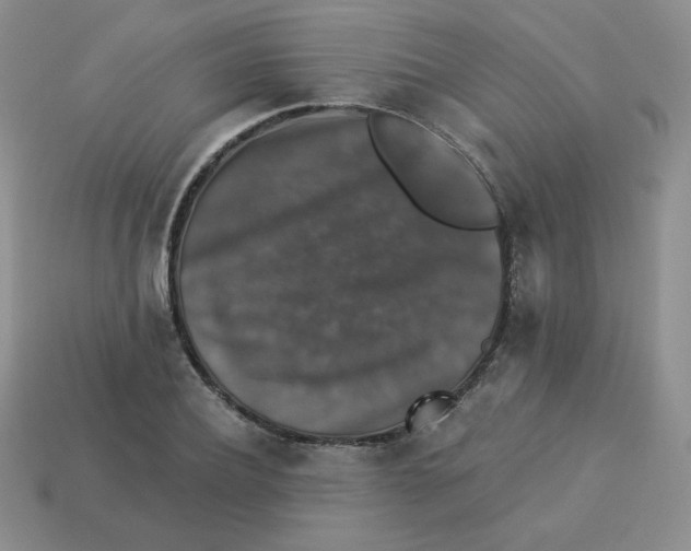 X0000113280932200910131002