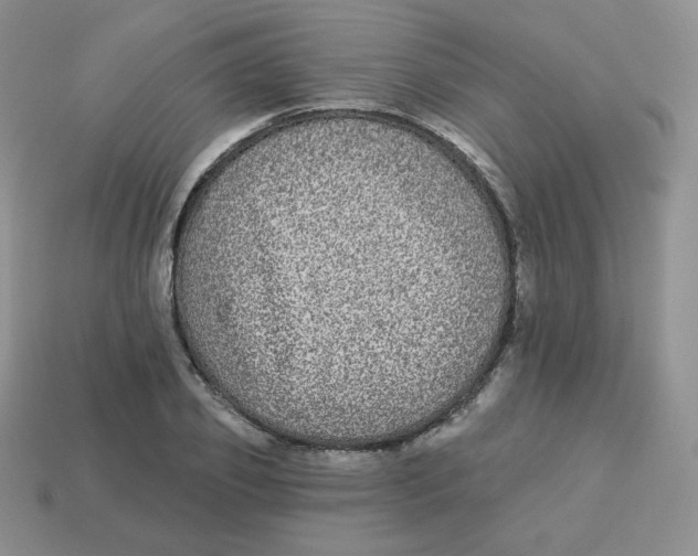 X0000113280933200910131002