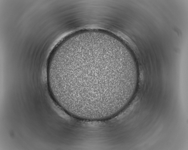 X0000113280934200910131002