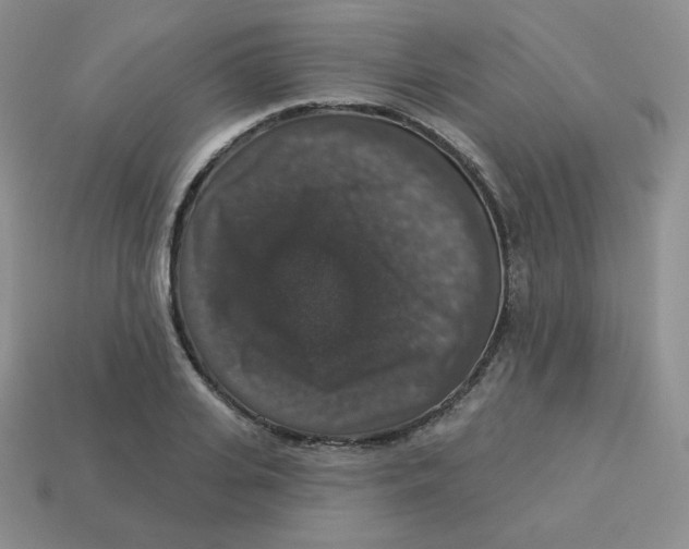 X0000113280935200910131002